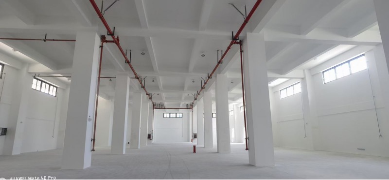 1742221855828495.jpg 2.jpg